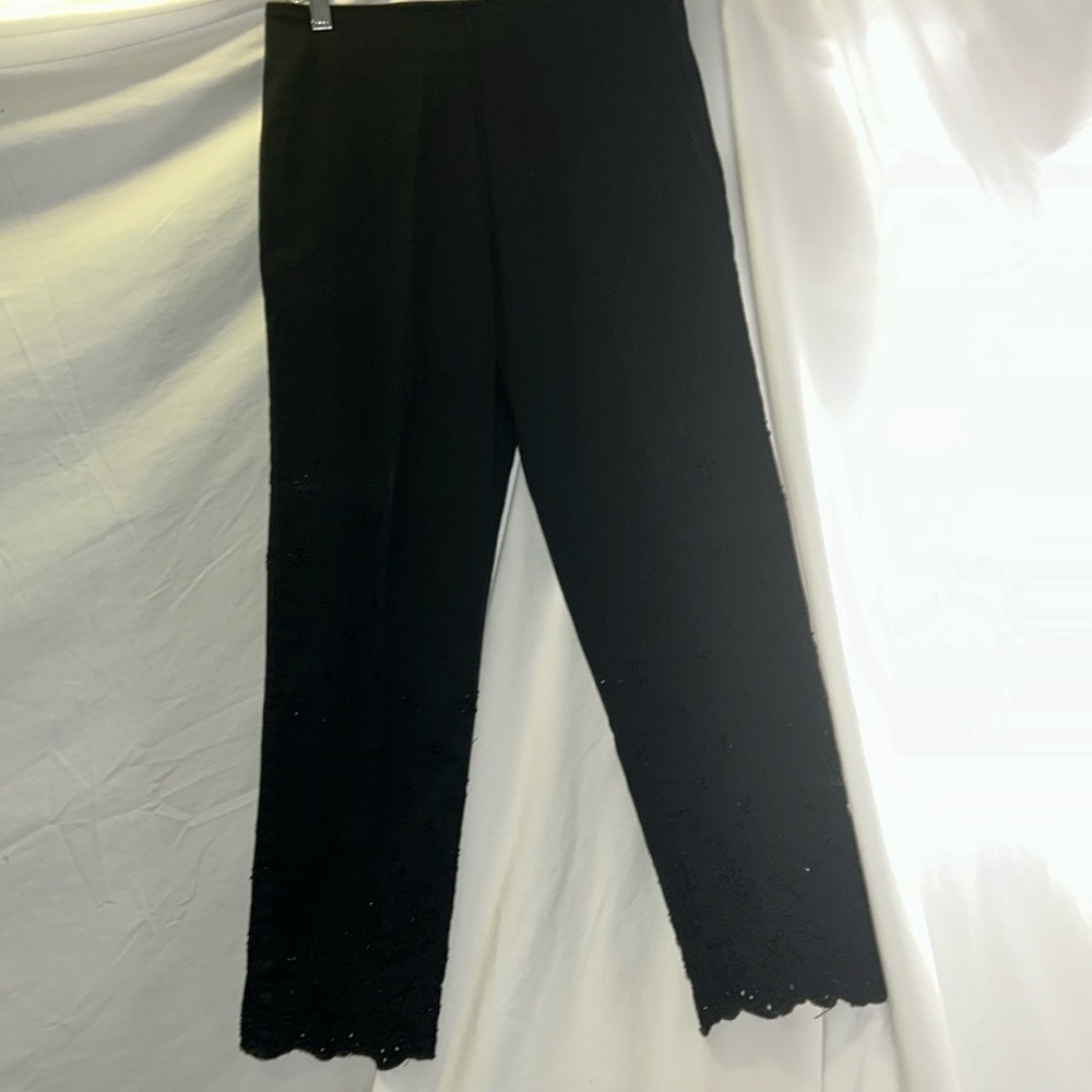 Haven bleu embellished cropped pants